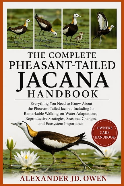 The Complete Pheasant-Tailed Jacana Handbook: Everything You Need to Know About the Pheasant-Tailed Jacana, Including It, (Paperback)
