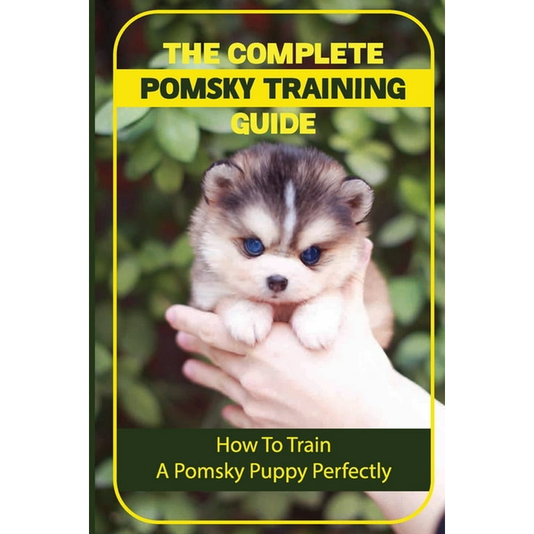 How to Train a Pomsky: Quick & Effective Training Tips