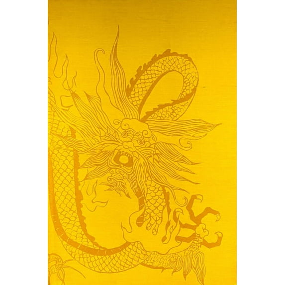 The Confucian Persuasion (Hardcover)
