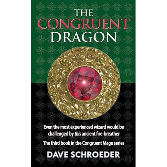 Pre-Owned The Congruent Dragon The Congruent Mage Series Paperback Dave Schroeder