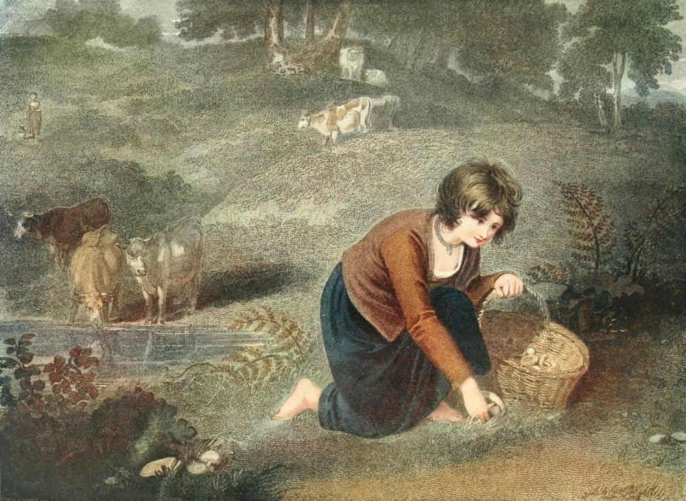 The Connoisseur 49 1917 Girl gathering mushrooms Canvas Art - Richard Westall (18 x 24)