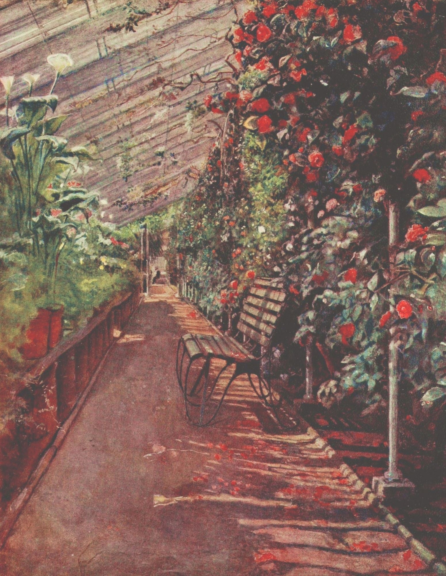 The Conservatory Canvas Art - Jessie MacGregor (18 x 24)