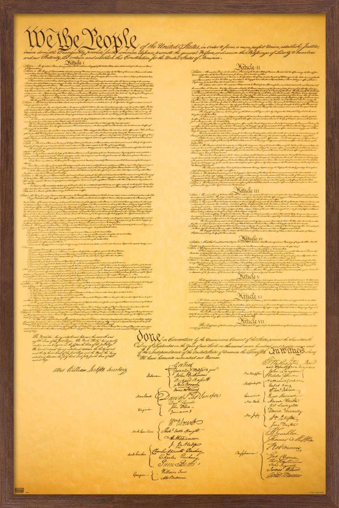 The Constitution Wall Poster, 14.725" x 22.375", Framed