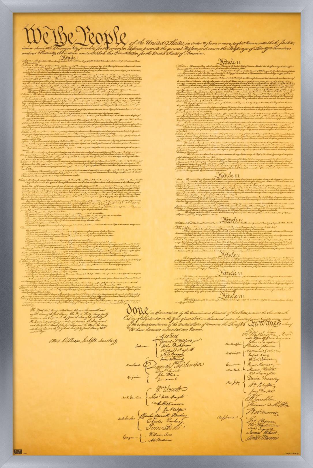 The Constitution Wall Poster, 22.375" x 34", Framed