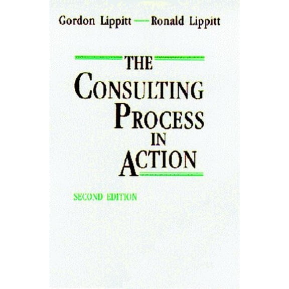 Pre-Owned The Consulting Process in Action (Paperback) 088390201X 9780883902011
