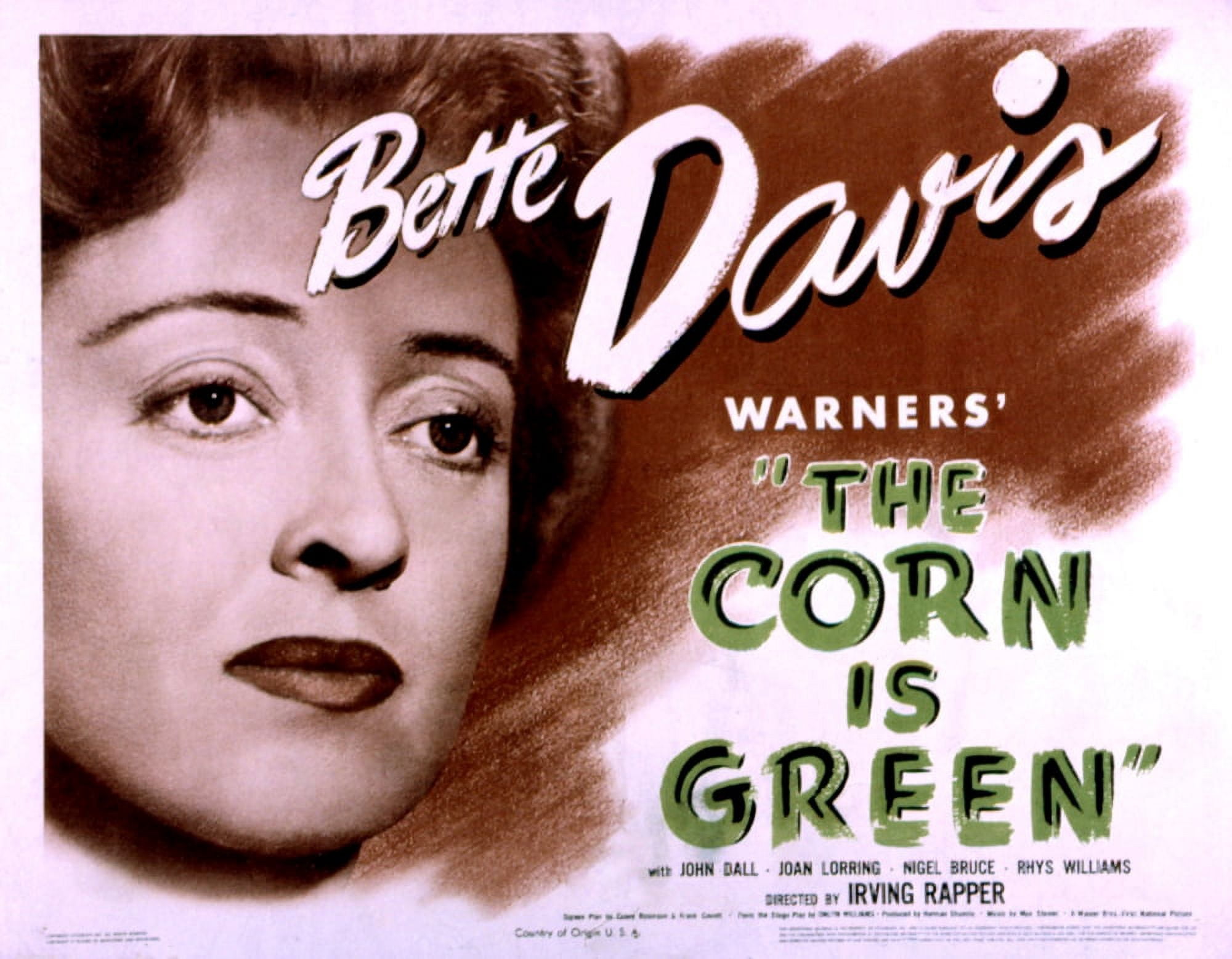 The Corn Is Green Canvas Art - (28 x 22)