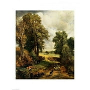 The Cornfield  1826 Poster Print by John Constable