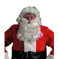 thumbnail image 1 of The Costume Center 2-Piece Christmas Santa Claus Deluxe Curly Wig & Beard - Adults One Size, 1 of 1