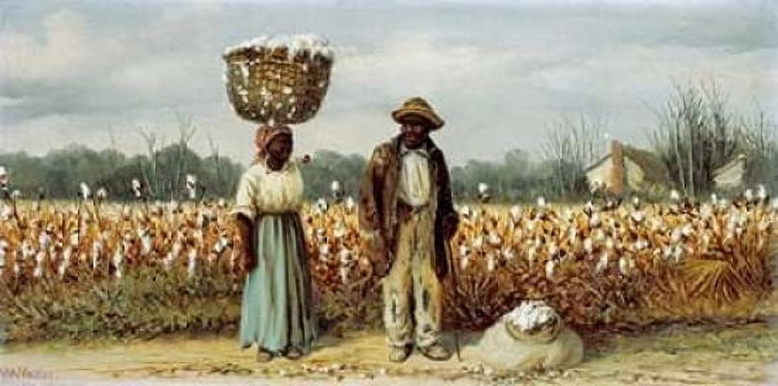 The Cotton Pickers Canvas Art - William Aiken Walker (24 x 48)