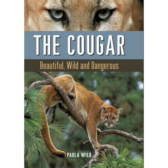 The Cougar: Beautiful, Wild and Dangerous, (Hardcover)
