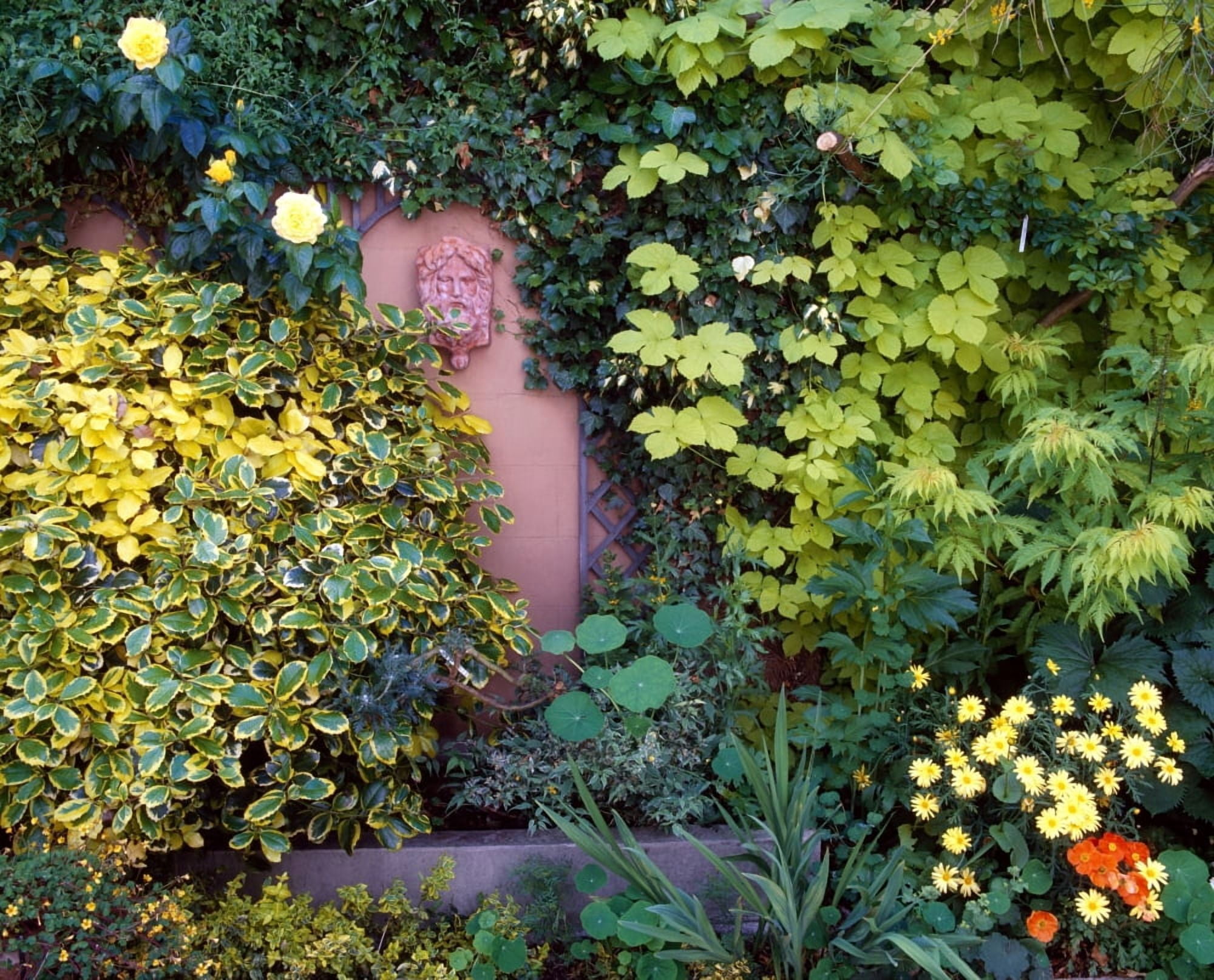 The Courtyard Garden Fairfield Lodge Dublin Ireland Canvas Art - The Irish Image Collection Design Pics (34 x 26)