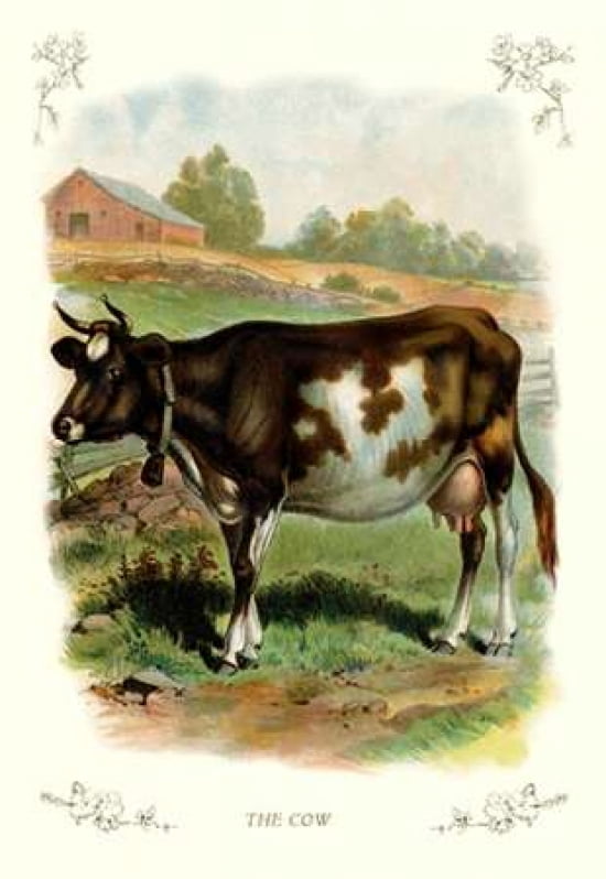 The Cow 1900 Canvas Art - Unknown (12 x 18)
