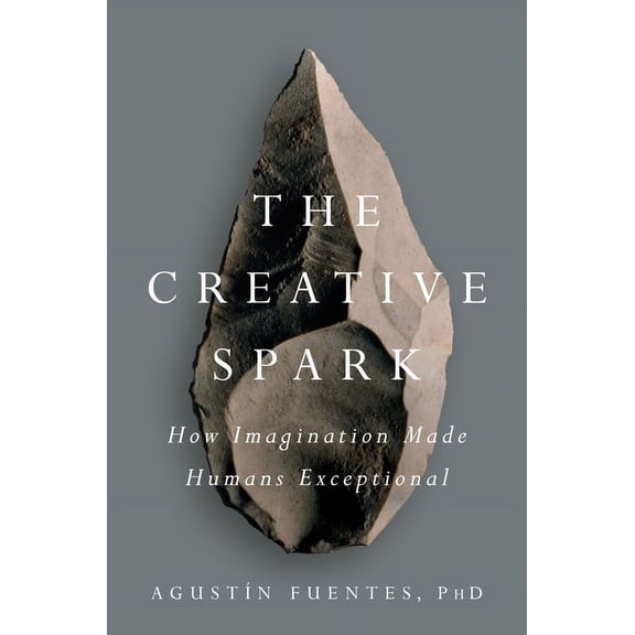 The Creative Spark: How Imagination Made Humans Exceptional, (Hardcover)