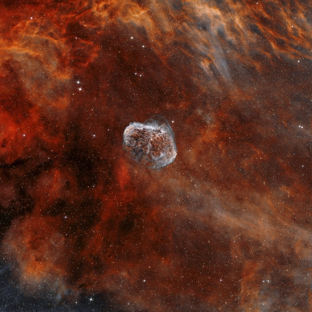 The Crescent Nebula with Soap-Bubble Nebula Canvas Art - Rolf GeissingerStocktrek Images (28 x 28)