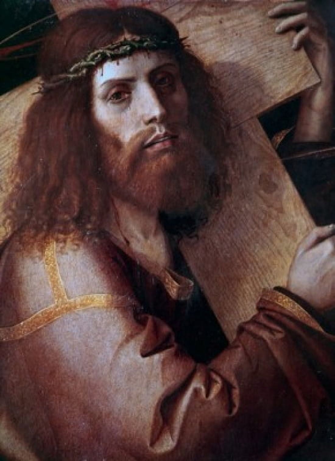 The Cross-Bearing Christ Bartolomeo Montagna (ca1450-1523 Italian) Pinacoteca Civica Vicenza Italy Canvas Art - Bartolomeo Montagna (18 x 24)