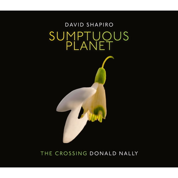 The Crossing - Sumptuous Planet - Music & Performance - CD