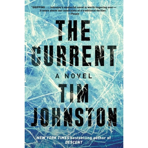 Pre-Owned The Current (Paperback) 1616209836 9781616209834
