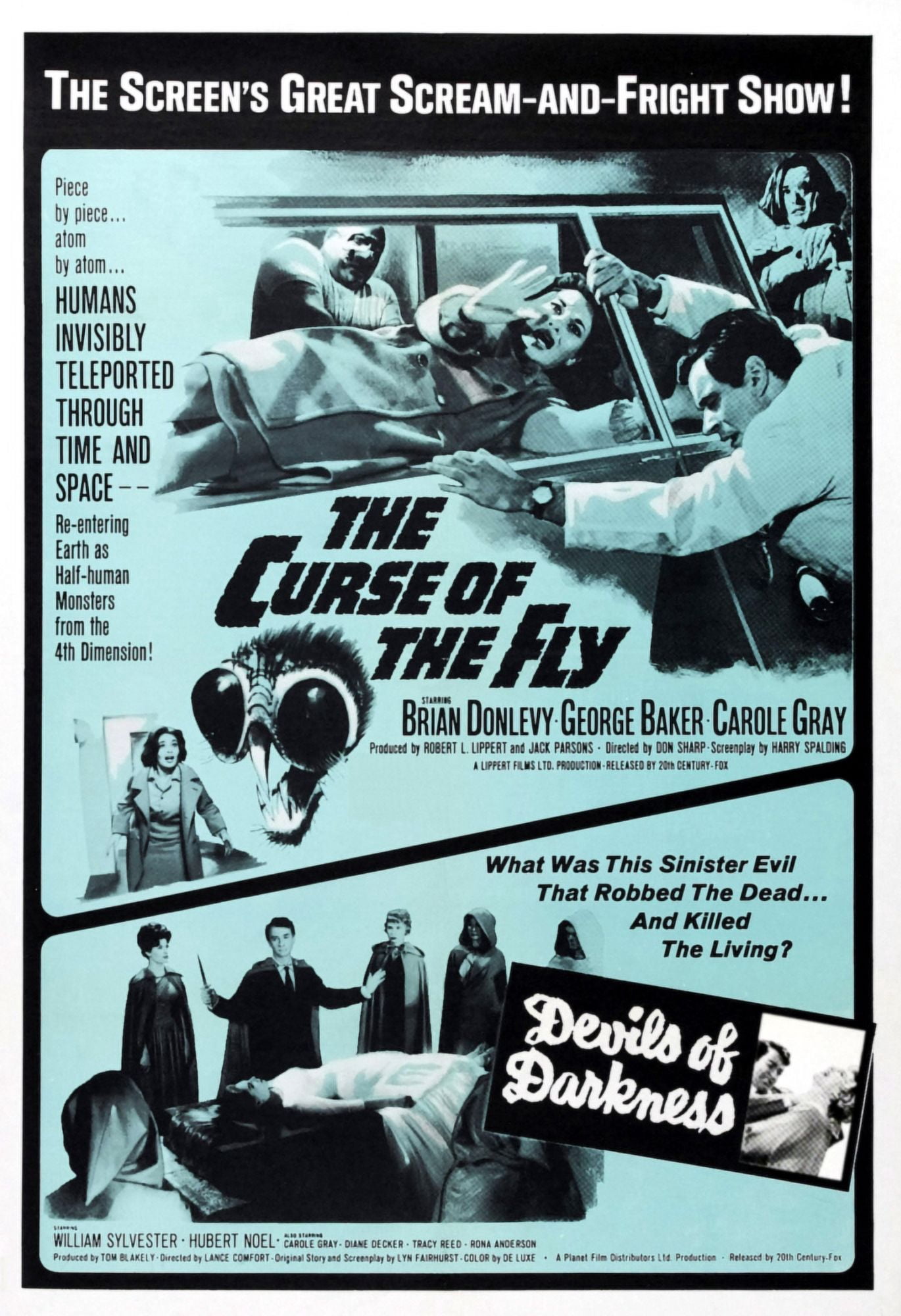 The Curse Of The Fly Canvas Art - (11 x 17)