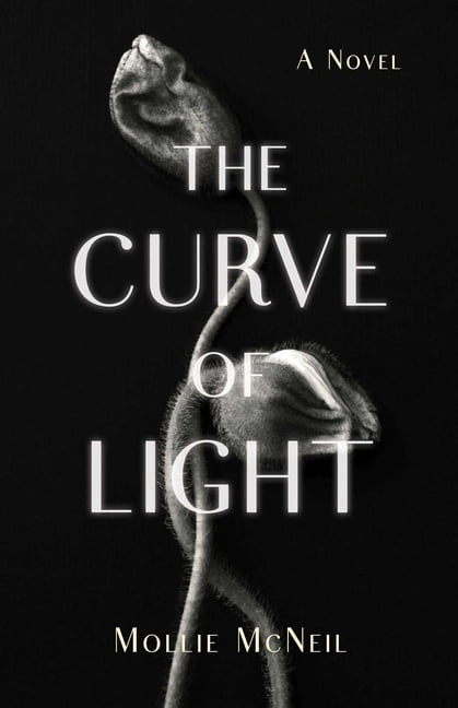 The Curve of Light, (Paperback)