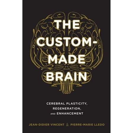 Pre-Owned The Custom-Made Brain: Cerebral Plasticity Regeneration and Enhancement (Hardcover) 0231164505 9780231164504