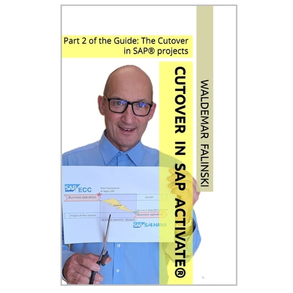 The Cutover in Sap(r) Projects - The Gui Cutover in SAP Activate(R): Part 2 of the Guide: The Cutover in SAP(R) projects, (Paperback)
