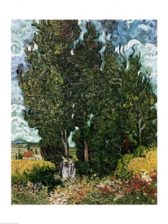 The Cypresses Canvas Art - Vincent Van Gogh (24 x 36)