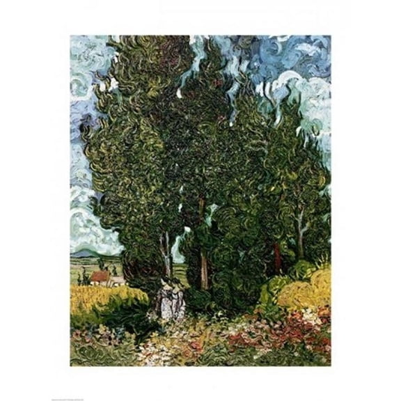 The Cypresses Poster Print by Vincent Van Gogh