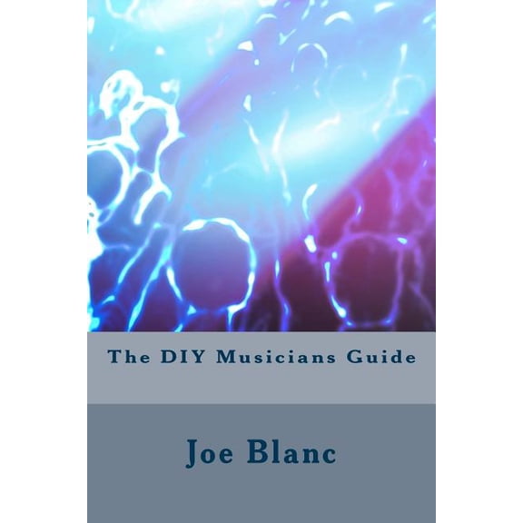 The DIY Musicians Guide (Paperback)