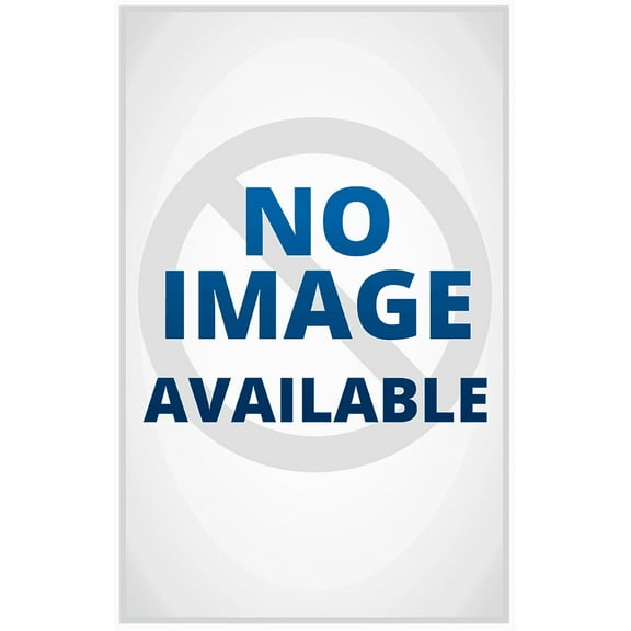 The Daily Path The Daily Path: Mindful Reflections for Holidays and Getaways, Book 3, (Paperback)
