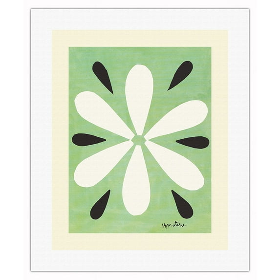 The Daisy (la Marguerite) - From an Original Cut-Out Artwork by Henri Matisse c.1945 - Fine Art Rolled Canvas Print 16in x 20in