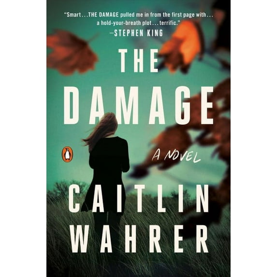 The Damage : A Novel (Paperback)