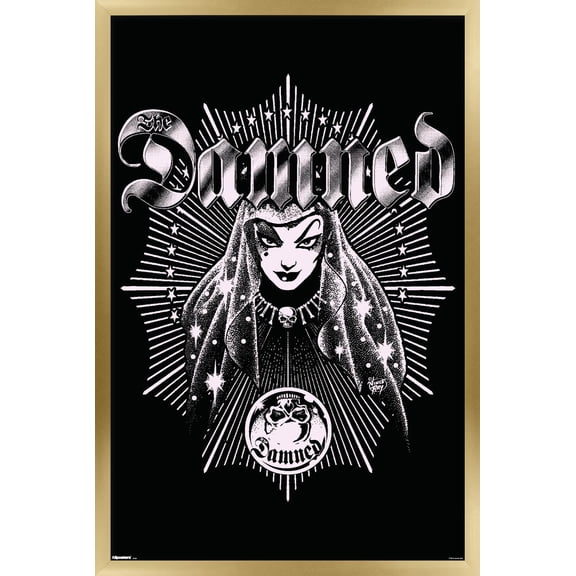 The Damned - Fortune Teller Wall Poster, 22.375" x 34" Framed