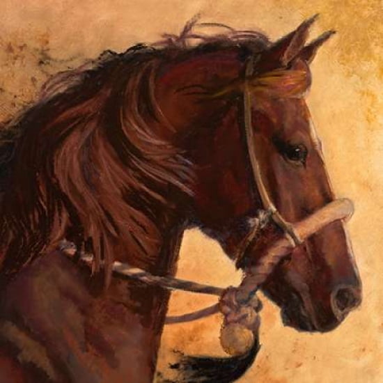 The Dance Canvas Art - Karen Bonnie (24 x 24)