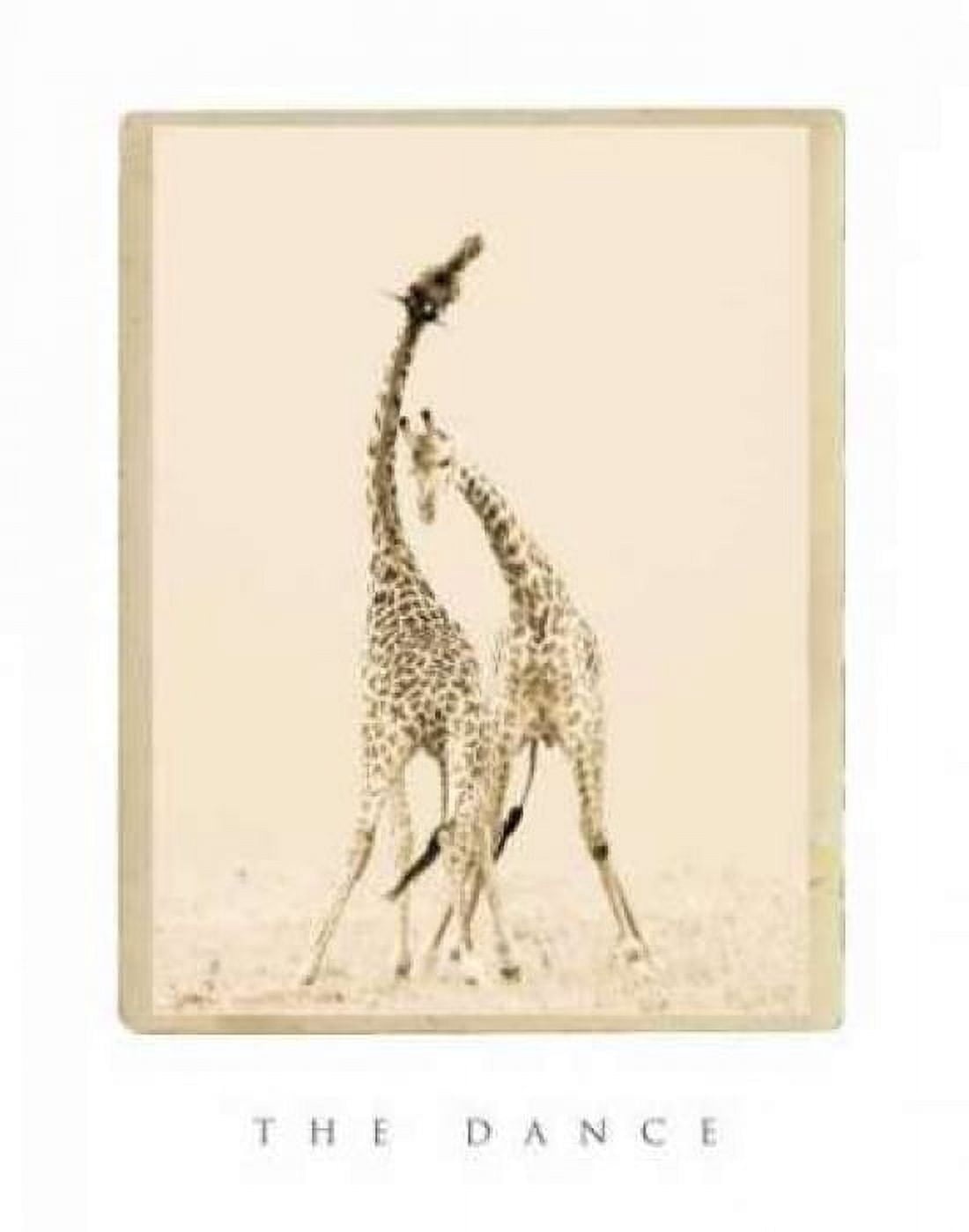 The Dance Canvas Art - Susann Parker (22 x 28)