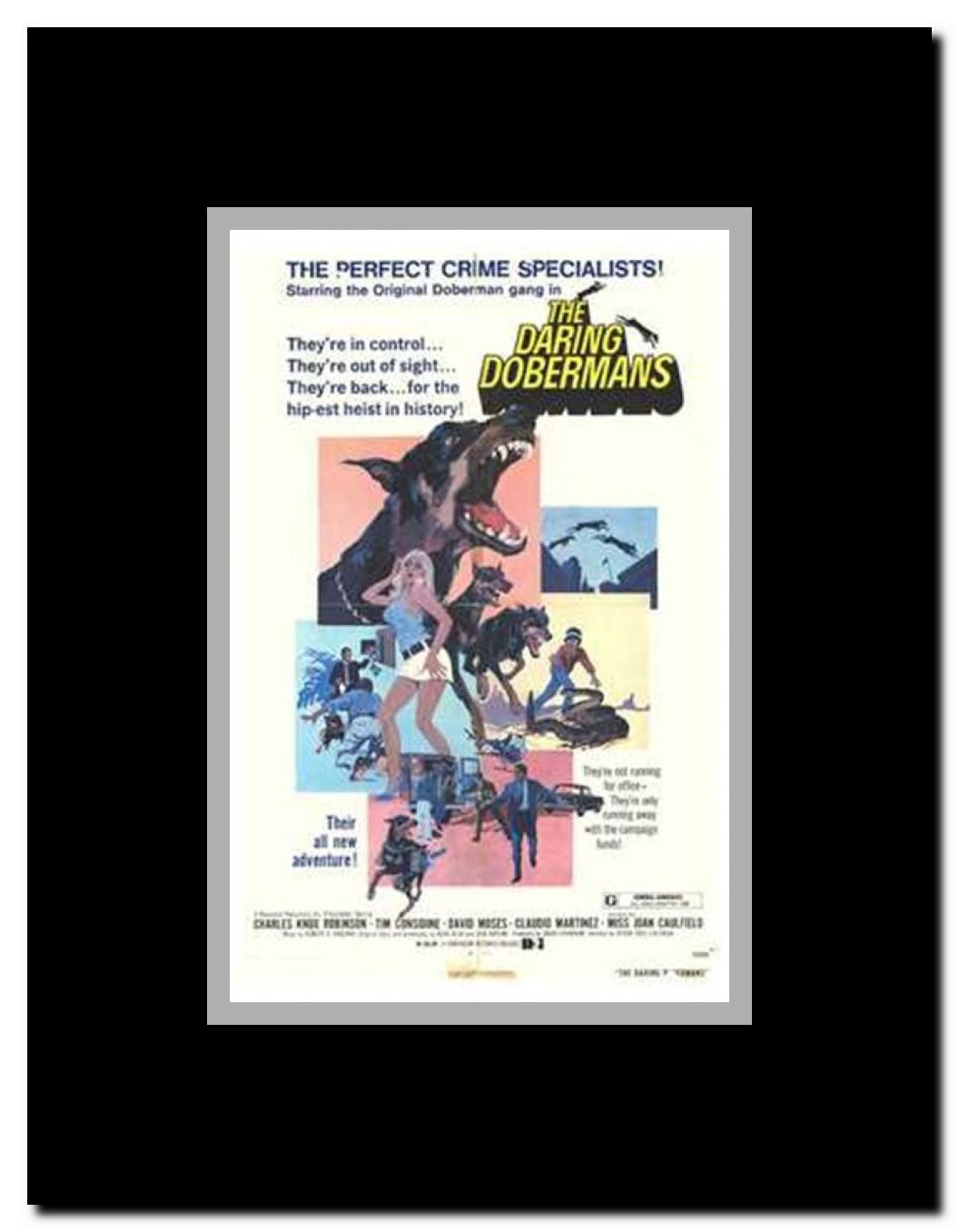 The Daring Dobermans Framed Movie Poster