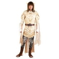 thumbnail image 1 of The Dark Crystal Adult Jen Costume, 1 of 4