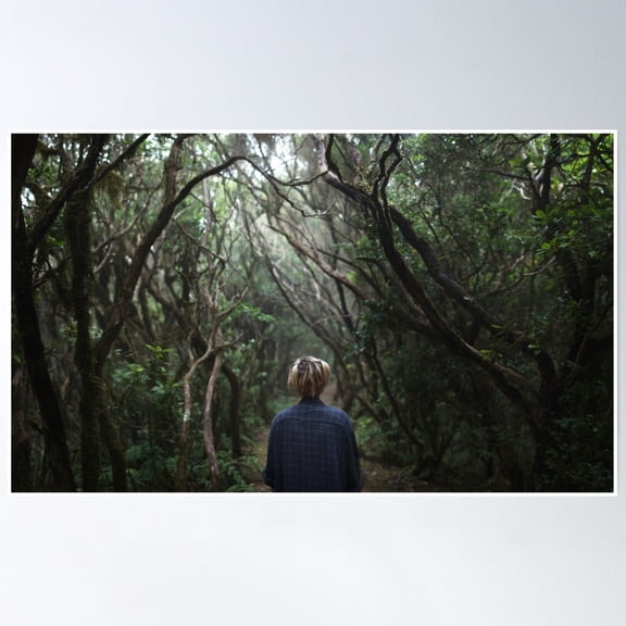 The Dark Forest Poster Wall Art, Modern Wall Decor, 12x18 UNFRAMED