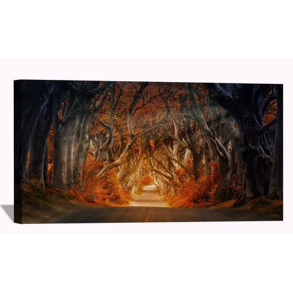 The Dark Hedges Road Forest Canvas Wall Art Colorful Autumn Framed Painting For Livingroom Office Bedroom Wall Decor Ready to Hang