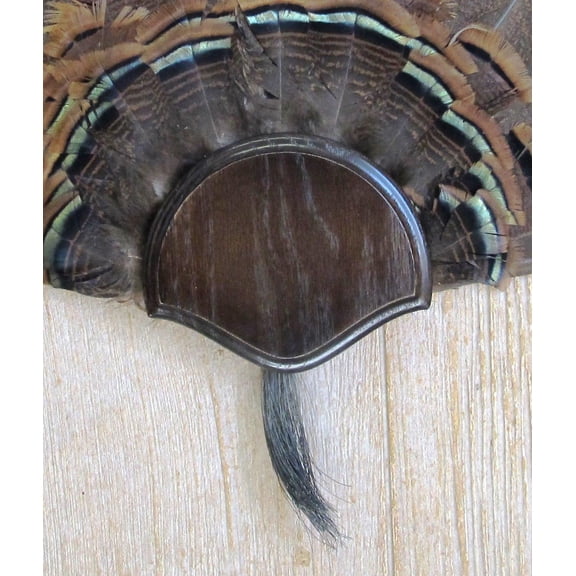 The Dark Oak Turkey Mounting Kit -01