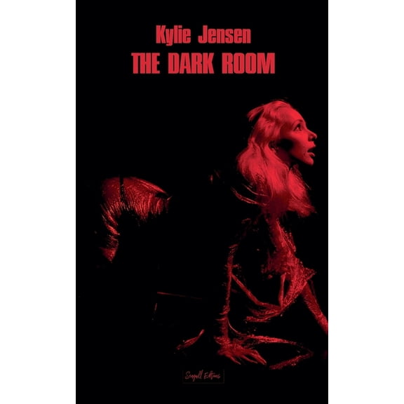 The Dark Room The Dark Room, Book 1, (Paperback)