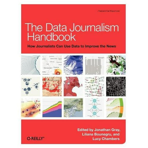 The Data Journalism Handbook (Paperback)