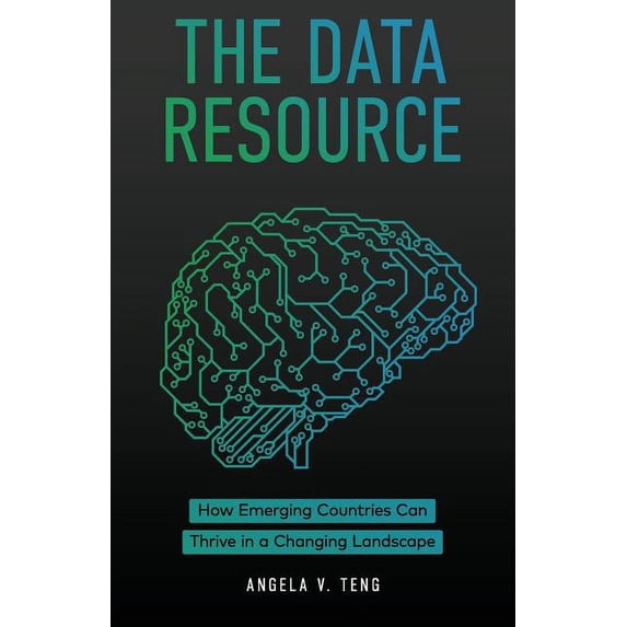 The Data Resource (Paperback)