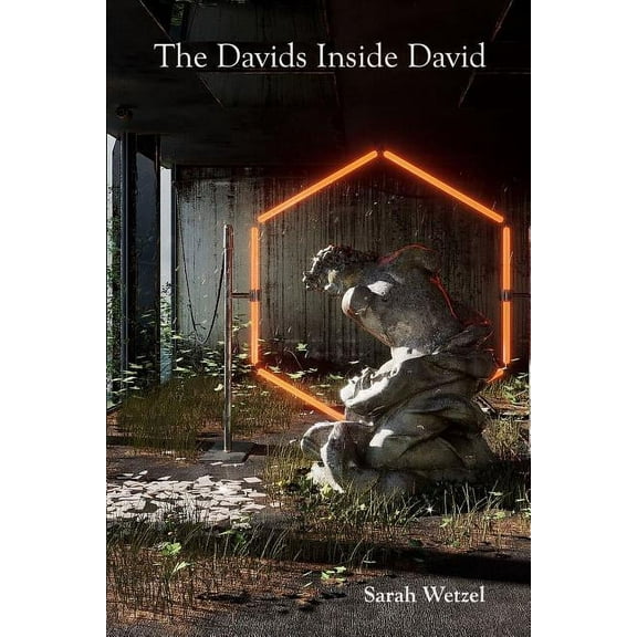 The Davids Inside David, (Paperback)