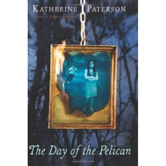 Pre-Owned The Day of the Pelican Paperback