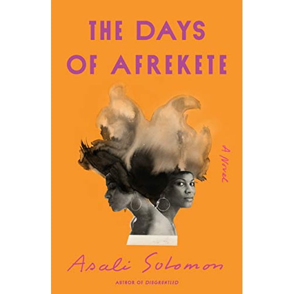 Pre-Owned The Days of Afrekete (Hardcover) 0374140057 9780374140052