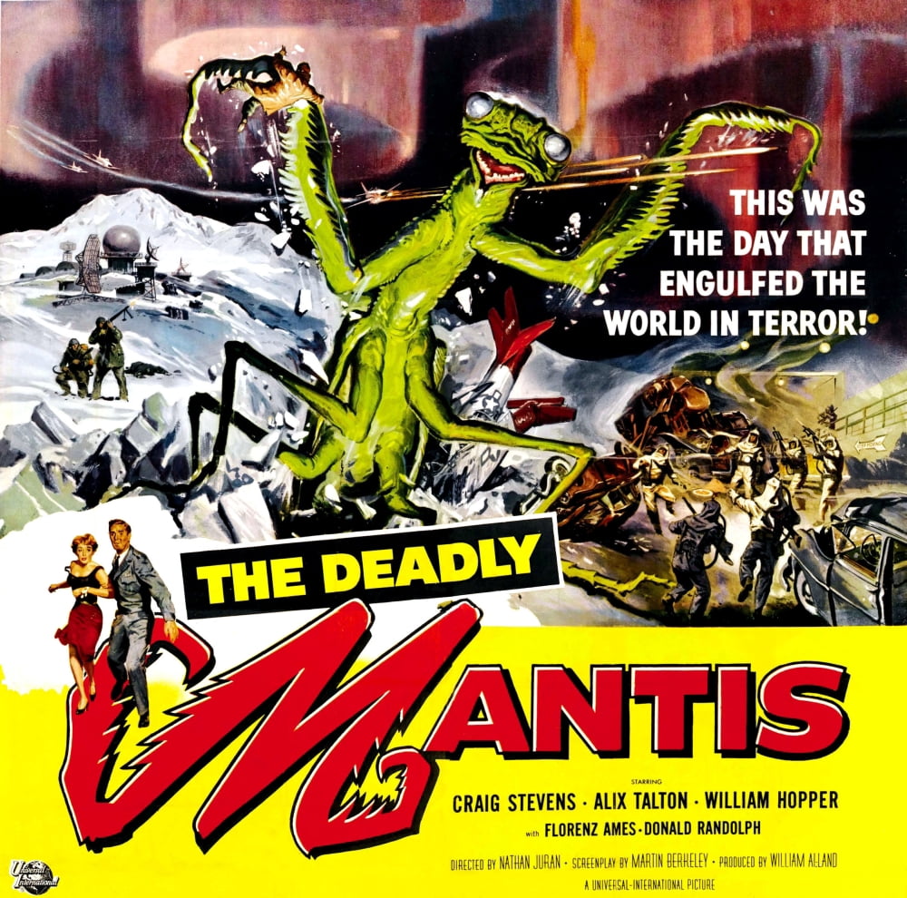 The Deadly Mantis Canvas Art - (28 x 22)