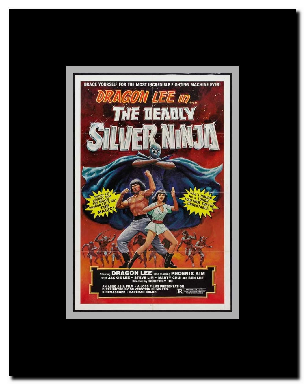 The Deadly Silver Ninja Framed Movie Poster
