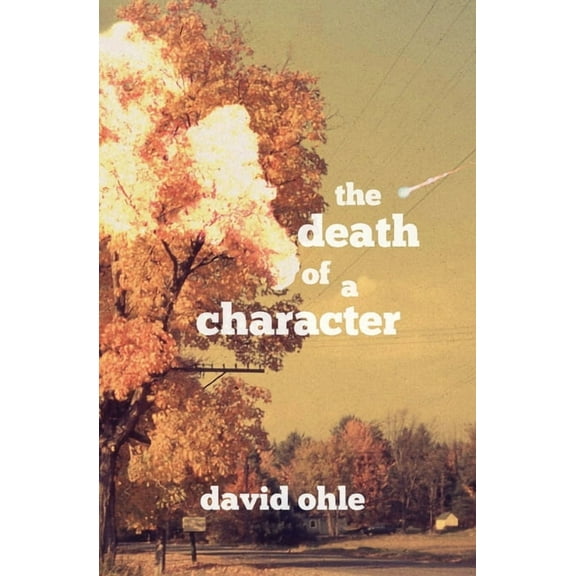 The Death of a Character, (Paperback)