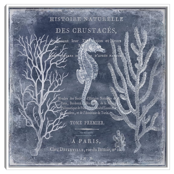 The Deep Blue Sea II by Deborah Devellier Inverted Wood Box Frame Art Print