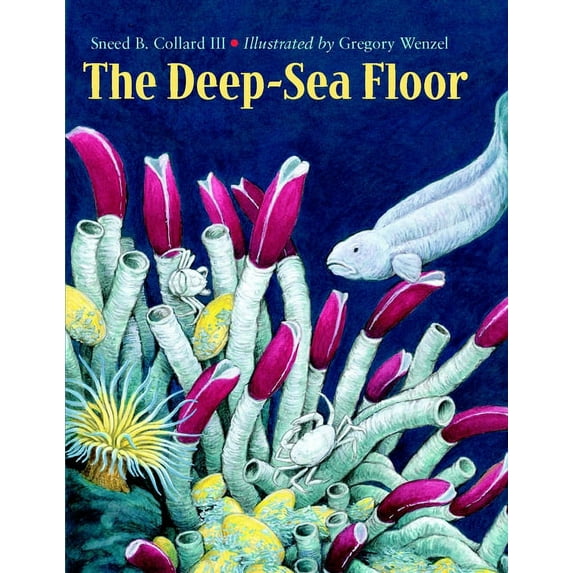 The Deep-Sea Floor (Paperback)
